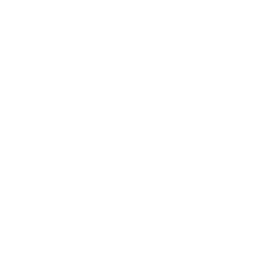 The Vibrant Glance